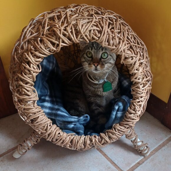 Handmade FiberRush Cat/Dog Bed - Picture 4 of 16